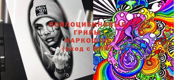 МДМА Новозыбков