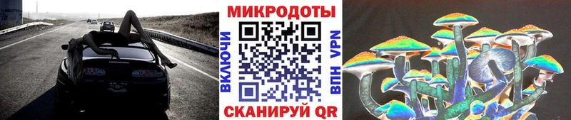 Галлюциногенные грибы Psilocybine cubensis  Якутск 