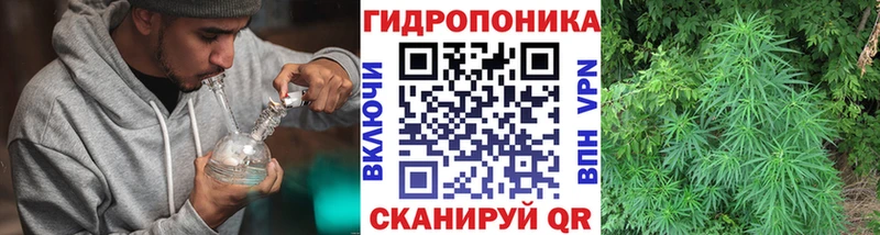 МАРИХУАНА конопля  ОМГ ОМГ сайт  маркетплейс как зайти  Якутск 